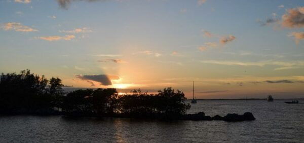Miami: Key Largo Scenic Plane Tour - Meeting Point at CR Aviation, Miami Executive Airport