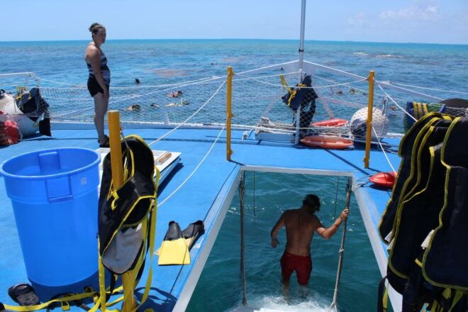Miami: Key West Boat Tour W/ Optional Snorkeling & Open Bar - Full Description of the Activity