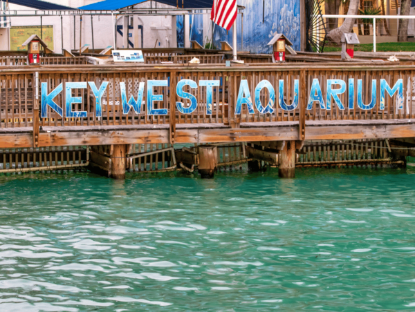 Miami: Key West Day Trip and Miami Boat Tour Combo - Booking and Cancellation