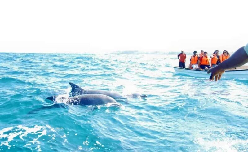 Miami: Key West Day Trip with pickup and boating options - The Sum Up