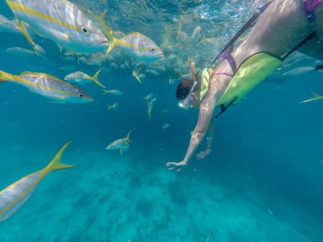 Miami: Key West Tour With Snorkeling & Kayaking - Experience Highlights of the Tour