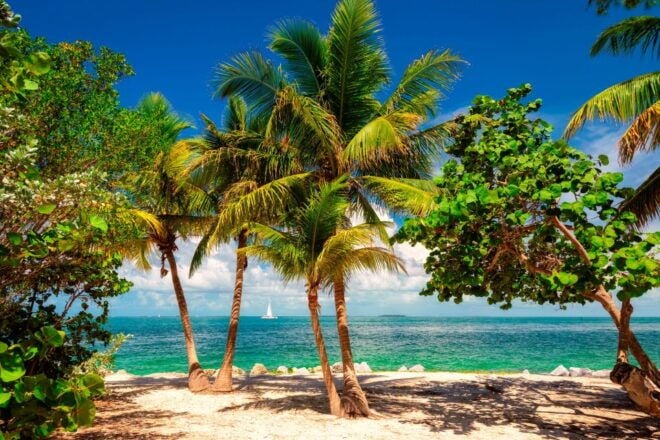 Miami: Key West Tour With Snorkeling & Kayaking - Snorkeling Experience in Key West