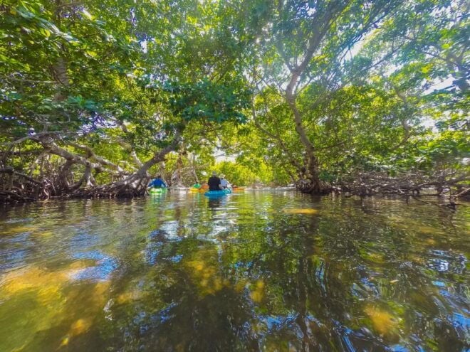 Miami: Key West Tour With Snorkeling & Kayaking - Sail Back to Historic Seaport After Kayaking