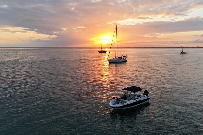 Miami Lights Private Nighttime Boat Tour - Pricing and Booking Information