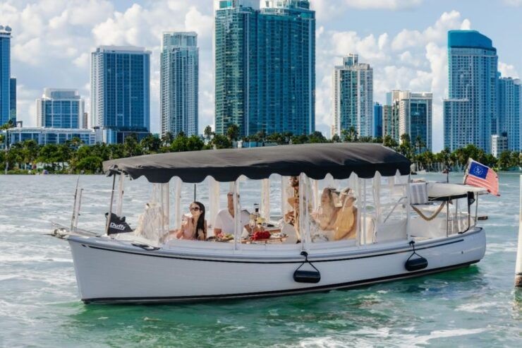 Miami: Luxury E-Boat Cruise With Wine and Charcuterie Board - Activity Details
