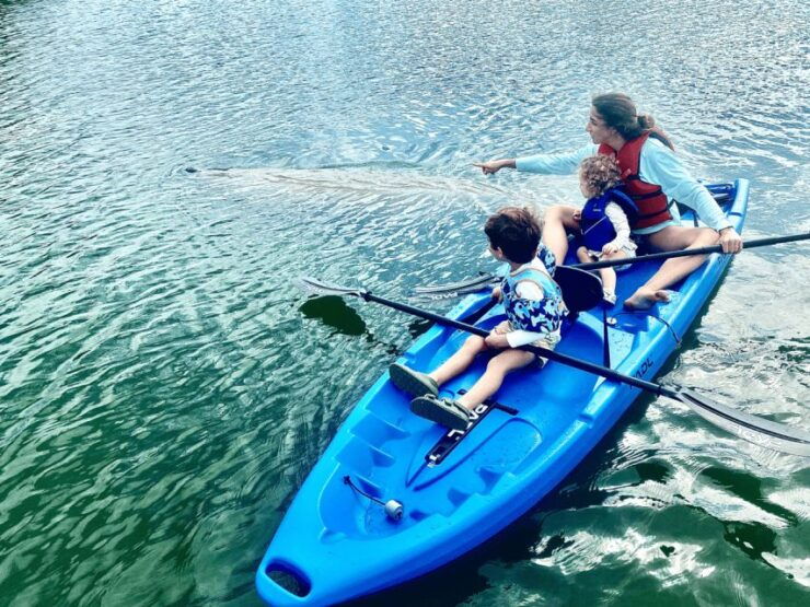 Miami: Manatee Season Tour Paddleboard or Kayak Tour - Good To Know
