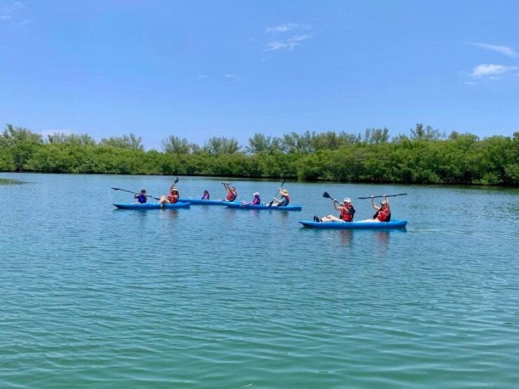 Miami: Manatee Season Tour Paddleboard or Kayak Tour - Pricing Information