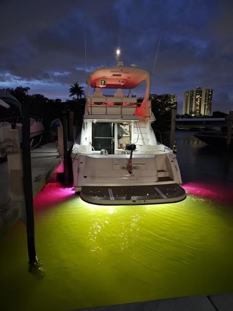 Miami: Nightlife & Party in Biscayne Bay With Champagne - Highlights
