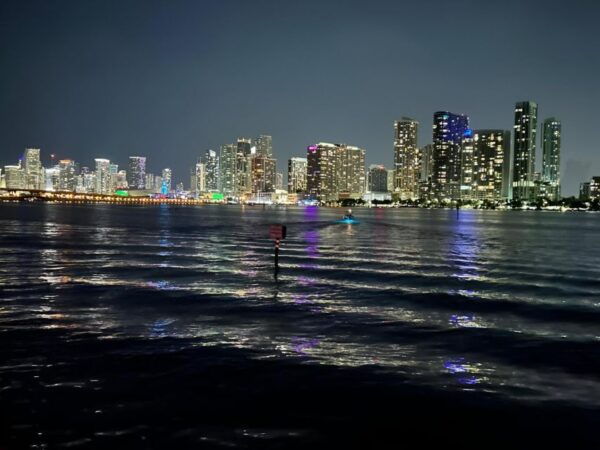 Miami: Nightlife & Party in Biscayne Bay With Champagne - Pricing and Group Size