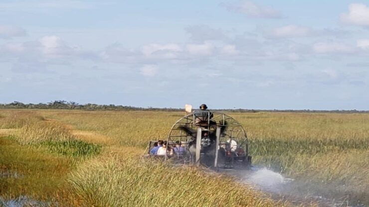 Miami: Original Everglades Airboat Tour & Alligator Exhibit - Customer Reviews