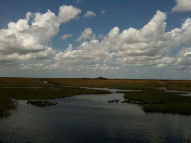 Miami: Original Everglades Airboat Tour & Alligator Exhibit - Provider Information