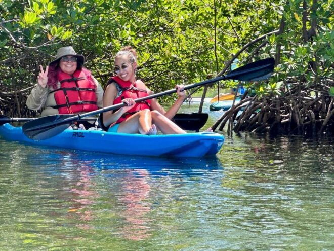 Miami: Paddle Board or Kayak Rental in Virginia Key - Rental Options