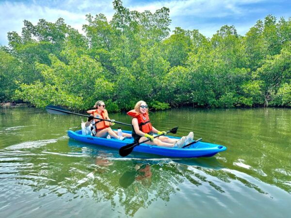 Miami: Paddle Board or Kayak Rental in Virginia Key - What to Bring