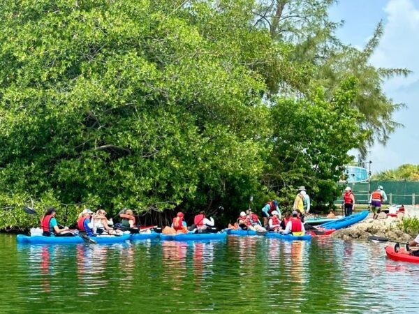 Miami: Paddle Board or Kayak Rental in Virginia Key - Frequently Asked Questions