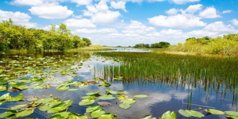 Miami Premium Everglades Driving Tour with Airboat Ride - Frequently Asked Questions