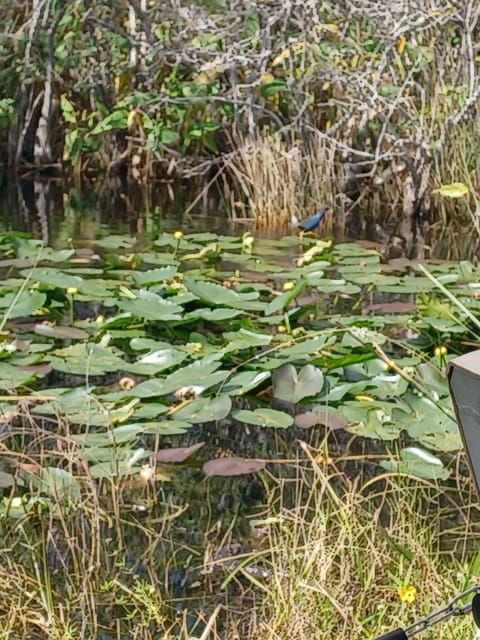 Miami: Private Everglades Eco Tour - Transportation and Accessibility