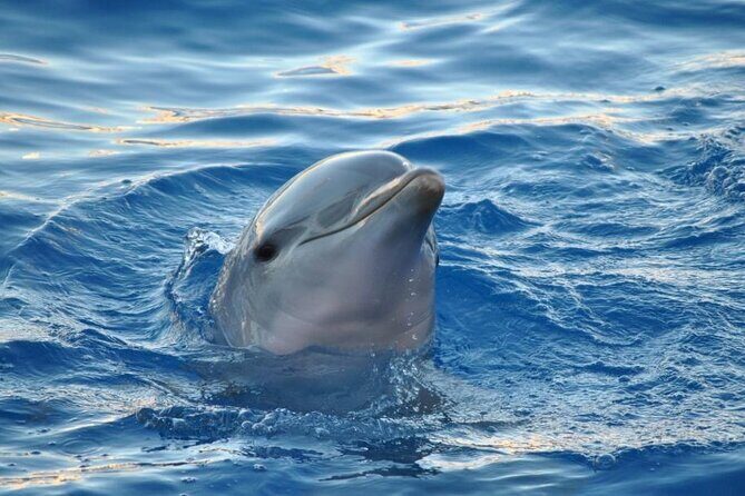 Miami: Private Golden Hour Cruise - The Sum Up: Is It Worth It?