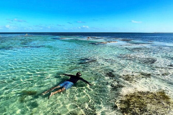 Miami Private Half-Day Yacht Rental With Captain - Overview and Experience