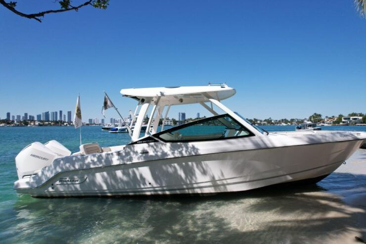 Miami: Private Star Island, Miami Skyline & Miami River Tour - Good To Know