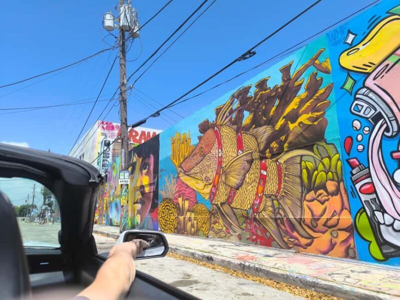 Miami: Private tour in a convertible Mustang in French - Good To Know