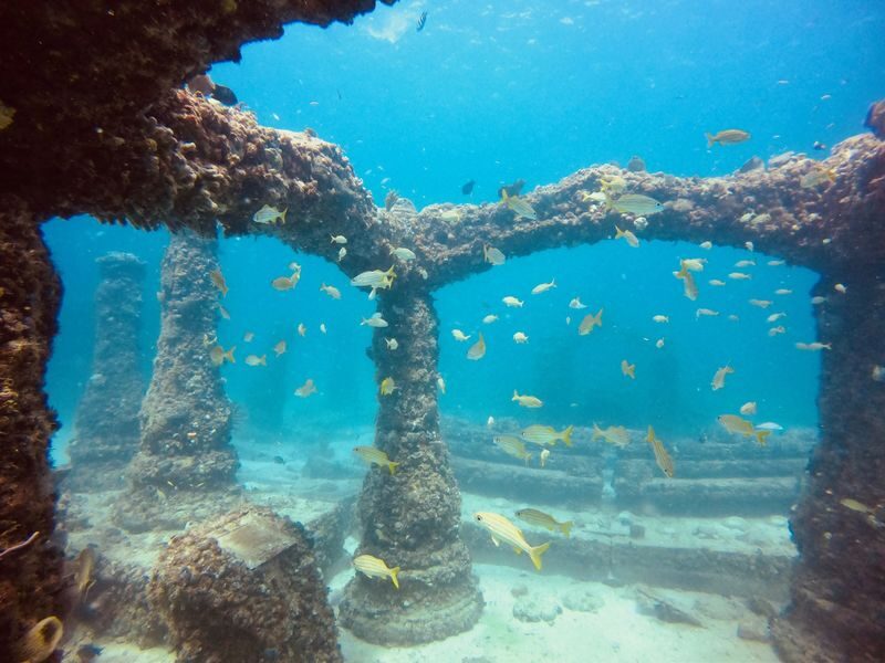 Miamis Underwater World: Half-Day Snorkeling with PADI Dive Boat - Key points to know before you go