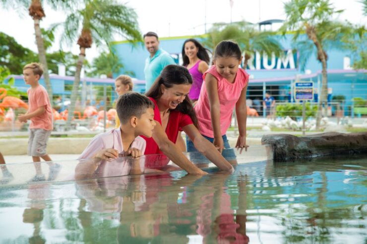 Miami: Seaquarium Entrance Ticket With Dolphin Encounter - Ticket Details and Benefits
