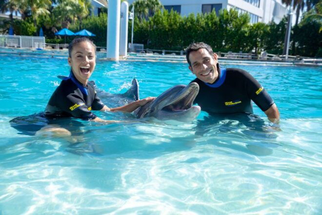 Miami: Seaquarium Entrance Ticket With Dolphin Encounter - Full Description