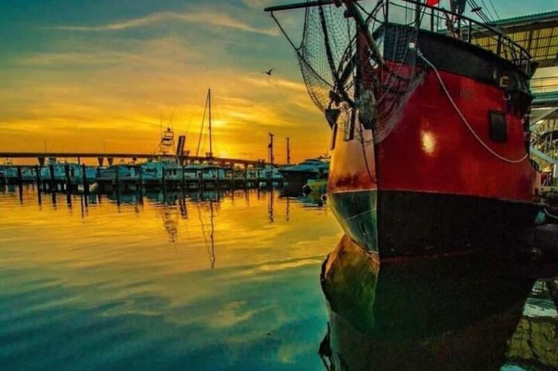 Miami: Skyline & Millionaire's Homes Pirate Boat Cruise - Good To Know