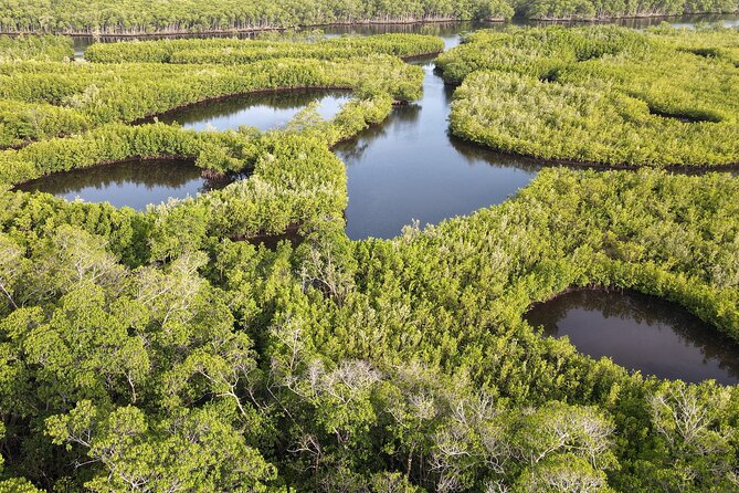 Miami Small-Group Tour With Boat Cruise Little Havana Wynwood - Boat Cruise Experience