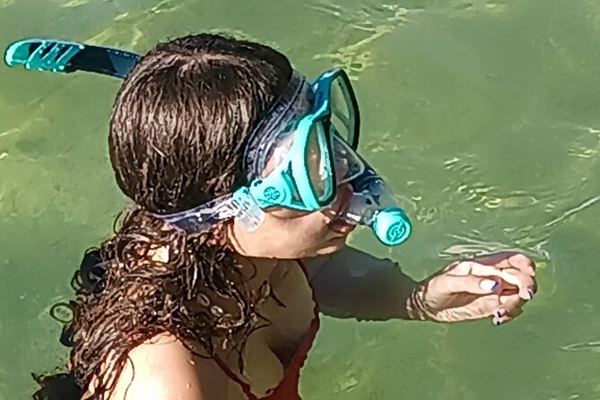 Miami: Snorkel Adventure & Sandbar Trip - Snorkeling Gear Provided