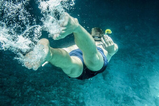 Miami: Snorkeling Experience - The Experience Breakdown: What Makes It Special