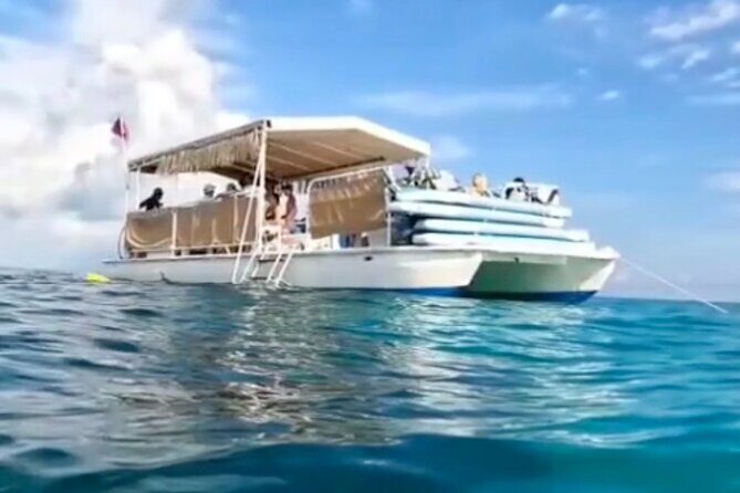 Miami: Snorkeling Experience - The Realities from Review Insights