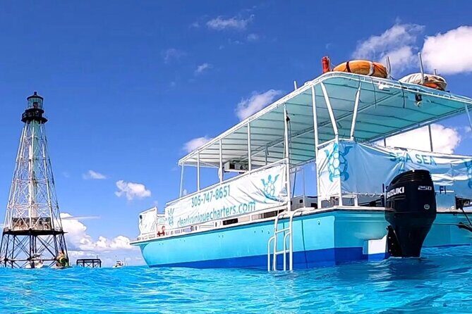 Miami: Snorkeling Experience - Who Would Love This Tour?