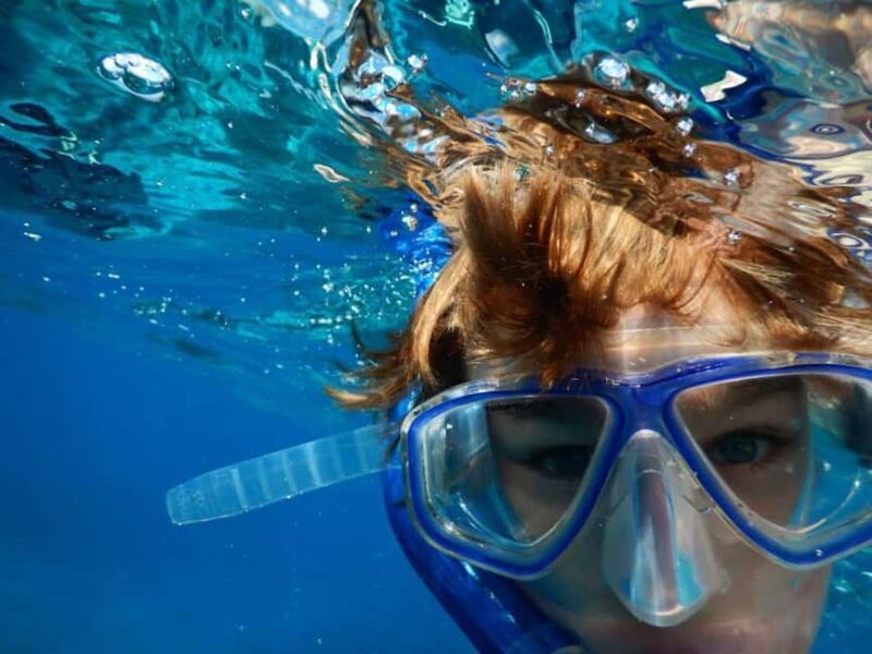 Miami Snorkeling for Beginners from Bayside Market Place - Who Should Consider This Tour?