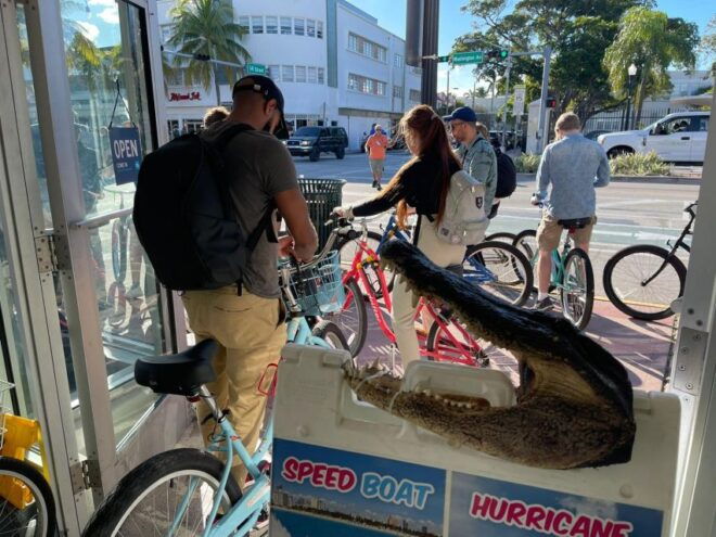 Miami: South Beach Architecture and Cultural Bike Tour - Detailed Description of the Bike Tour