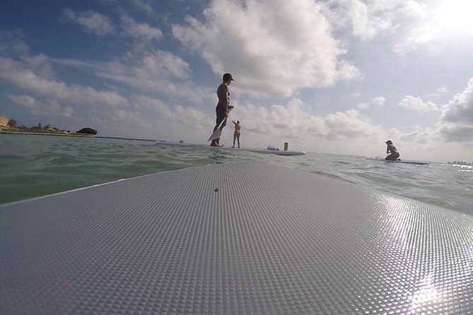 Miami Stand-Up Paddleboarding Experience For Four - Inclusions and Logistics