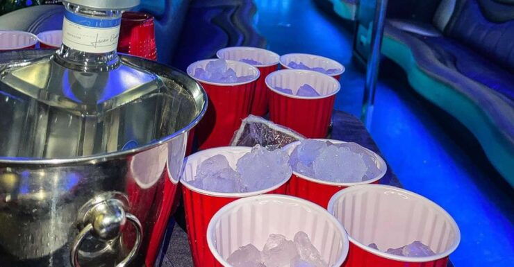 Miami Strip Club Crawl - Tour Inclusions