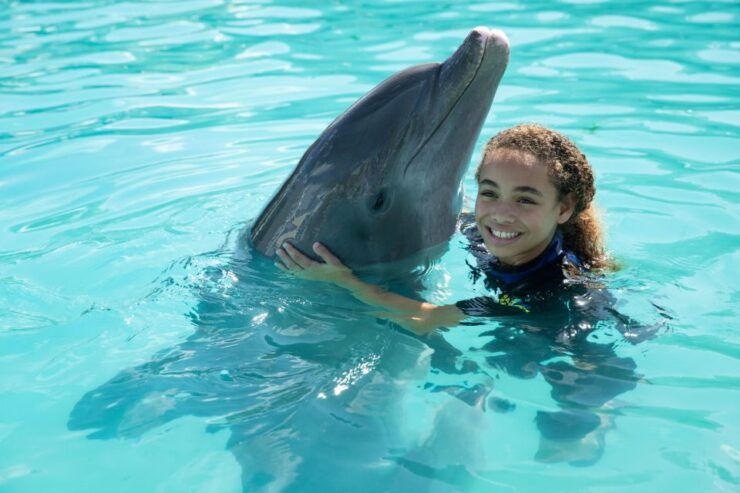 Miami: Swim With Dolphins Experience With Seaquarium Entry - Reservation Details