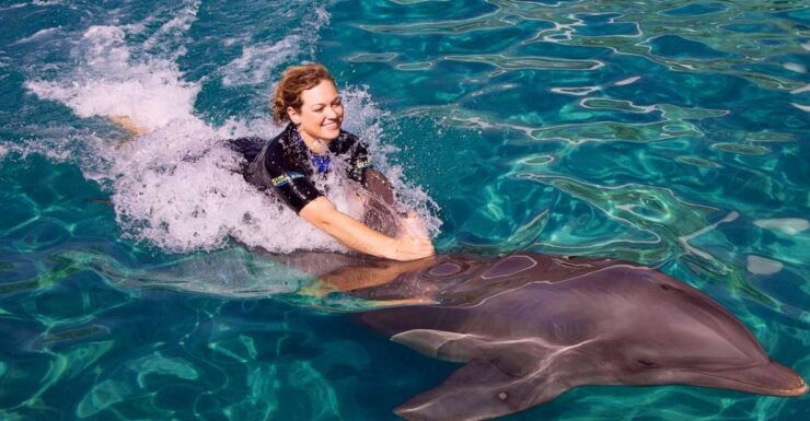 Miami: Swim With Dolphins Experience With Seaquarium Entry - Activity Duration and Requirements