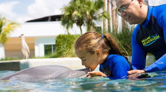 Miami: Swim With Dolphins Experience With Seaquarium Entry - Included Access to Miami Seaquarium