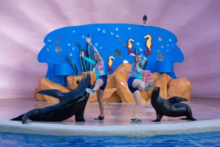 Miami: The Miami Seaquarium Park Admission Ticket - Good To Know