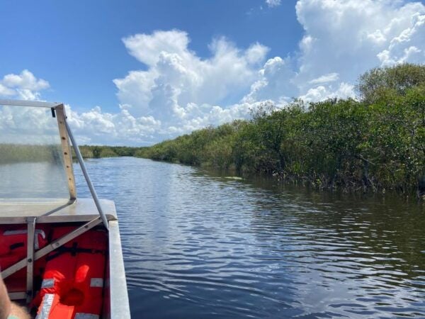 Miami : Tour Des Everglades D'une Demi-Journée. - Common Questions