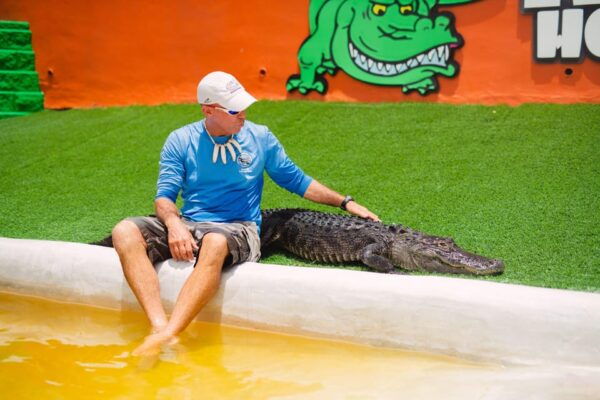 Miami: Wild Everglades Airboat Ride and Gator Encounters - Customer Ratings and Feedback