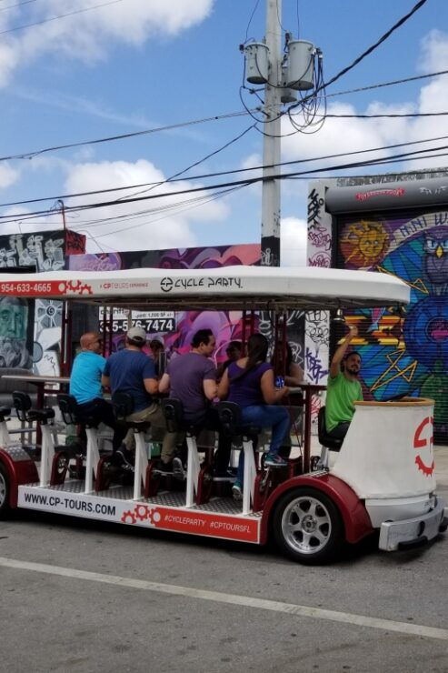 Miami: Wynwood Party Bike Bar Crawl - Activity Details