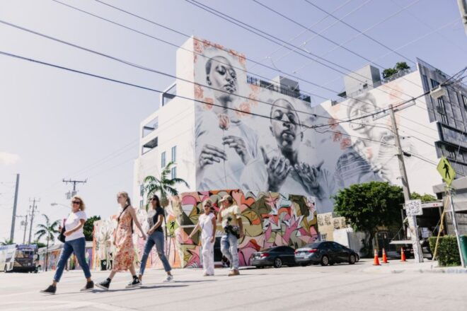 Miami: Wynwood Walking Tour - Street Art Forms