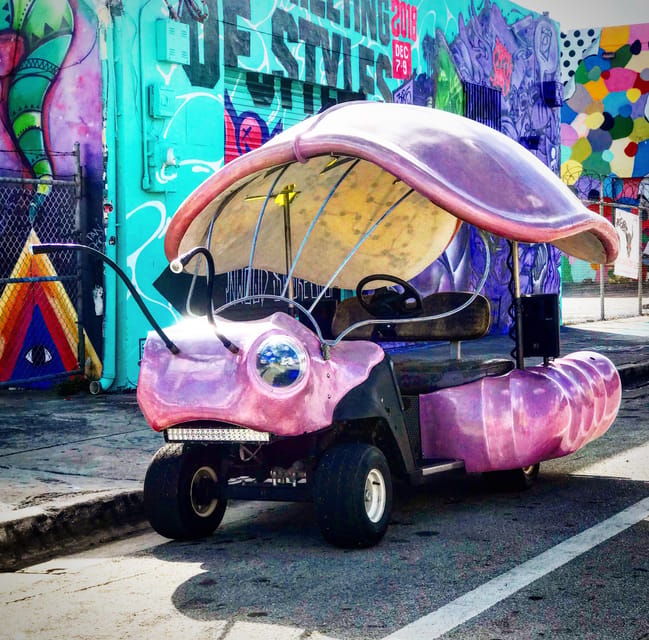 Miami: Wynwood Walls 30 Minute Lady Buggies Tour - Experience Highlights