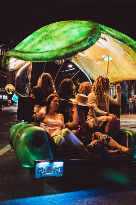 Miami: Wynwood Walls 30 Minute Lady Buggies Tour - Getting to Wynwood Walls