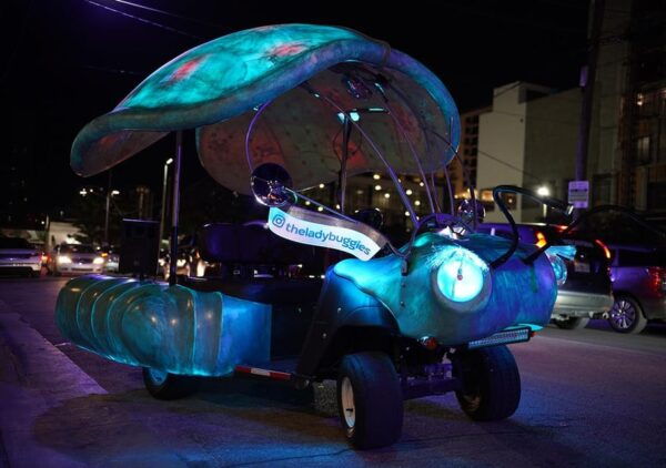 Miami: Wynwood Walls 30 Minute Lady Buggies Tour - Frequently Asked Questions