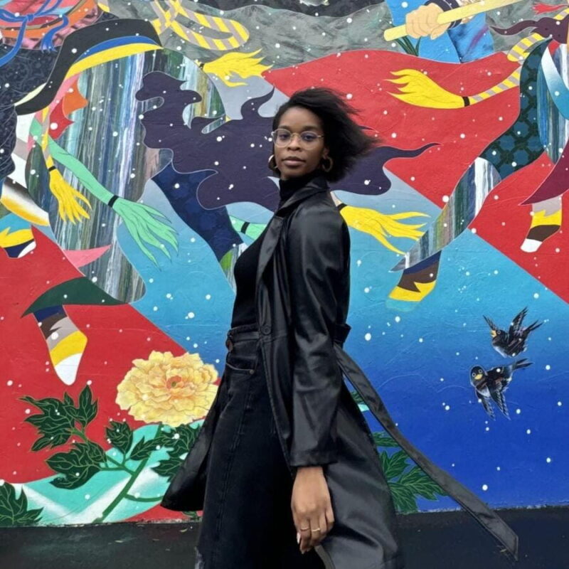 Miami: Wynwood Walls, Galleries, and Murals Guided Tour - The Itinerary: What You Will Actually See