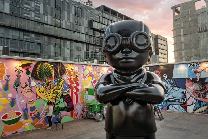 Miami: Wynwood Walls Skip-the-Line Ticket - What to Expect from the Wynwood Walls Skip-the-Line Ticket